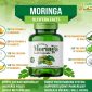 Moringa Leaf Capsules Promo